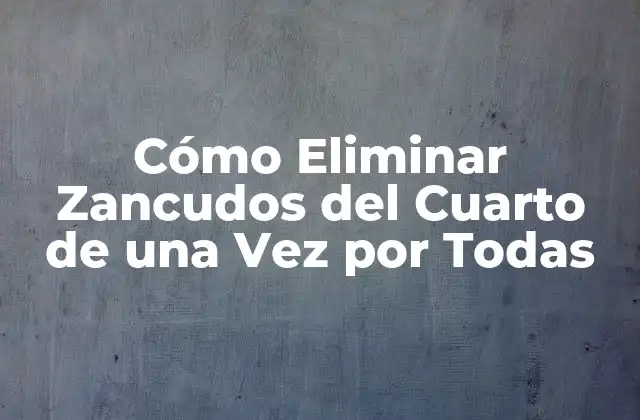 Cómo Eliminar Zancudos Del Cuarto de una Vez por Todas