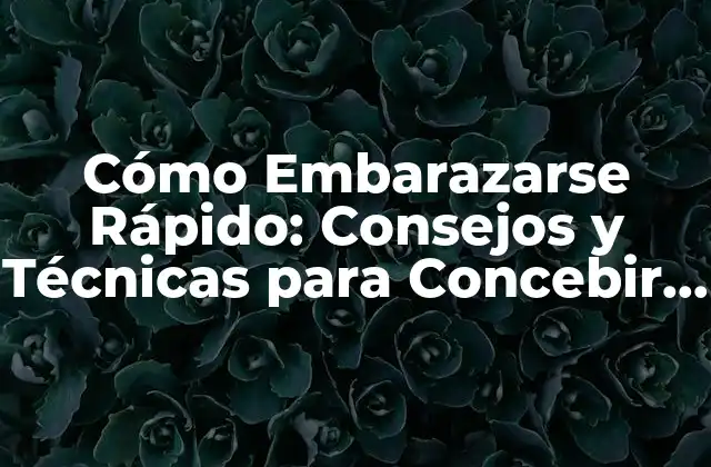 Cómo Embarazarse Rápido: Consejos y Técnicas para Concebir Pronto