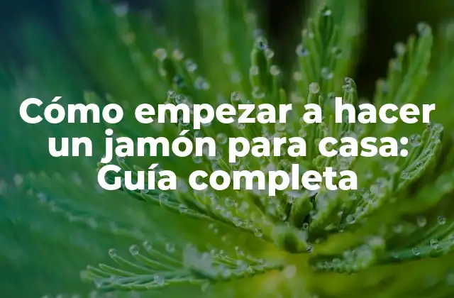 ¿Qué tipo de carne es ideal para hacer un jamón para casa?