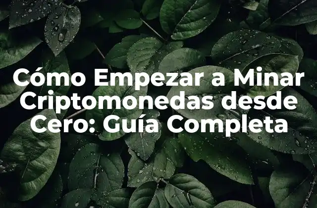 Cómo Empezar a Minar Criptomonedas desde Cero: Guía Completa