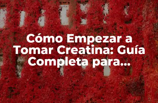 Cómo Empezar a Tomar Creatina: Guía Completa para Principiantes 2 ¿Qué es la Creatina y Cómo Funciona?
