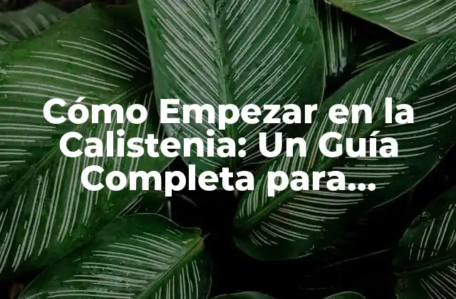 Cómo Empezar en la Calistenia: un Guía Completa para Principiantes