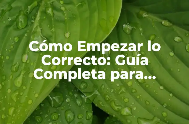 Cómo Empezar Lo Correcto: Guía Completa para Empezar con Éxito
