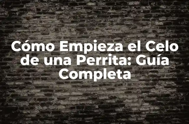Cómo Empieza el Celo de una Perrita: Guía Completa 2 ¿Cuánto Tiempo Dura el Celo de una Perrita?