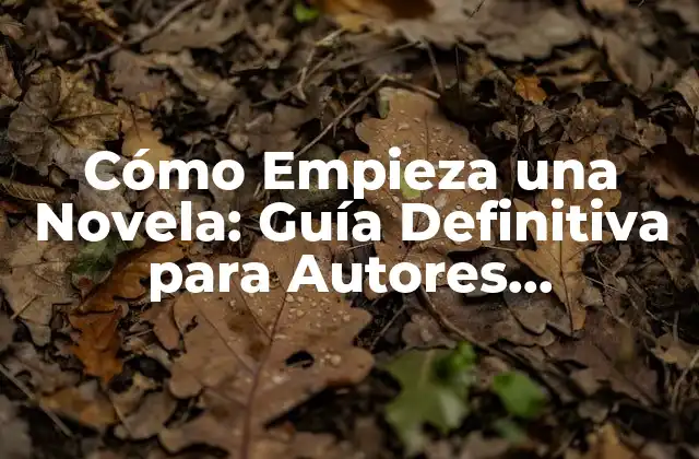 Cómo Empieza una Novela: Guía Definitiva para Autores Principiantes