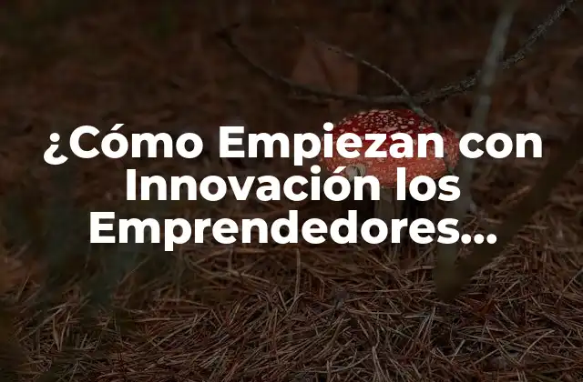 ¿Qué es Innovación Emprendedora?