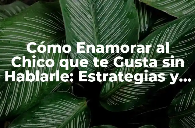 Cómo Enamorar Al Chico que Te Gusta sin Hablarle: Estrategias y Consejos Prácticos
