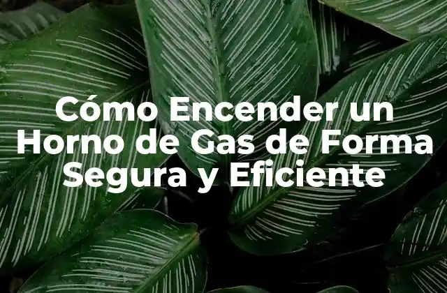 Cómo Encender un Horno de Gas de Forma Segura y Eficiente