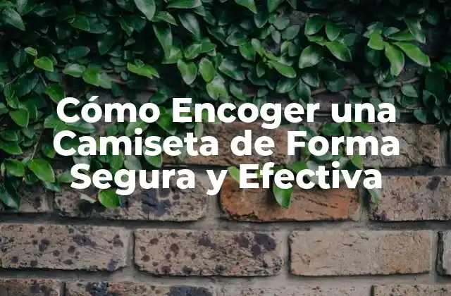 Cómo Encoger una Camiseta de Forma Segura y Efectiva