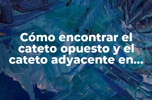 Cómo Encontrar el Cateto Opuesto y el Cateto Adyacente en un Triángulo Rectángulo