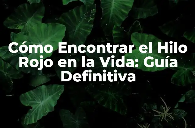 Cómo Encontrar el Hilo Rojo en la Vida: Guía Definitiva
