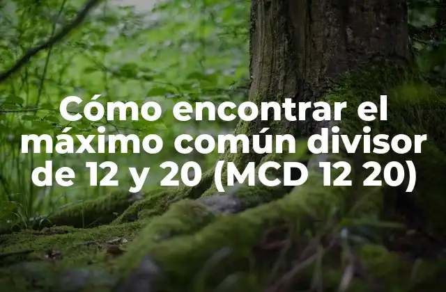 Cómo Encontrar el Máximo Común Divisor de 12 y 20 (mcd 12 20)