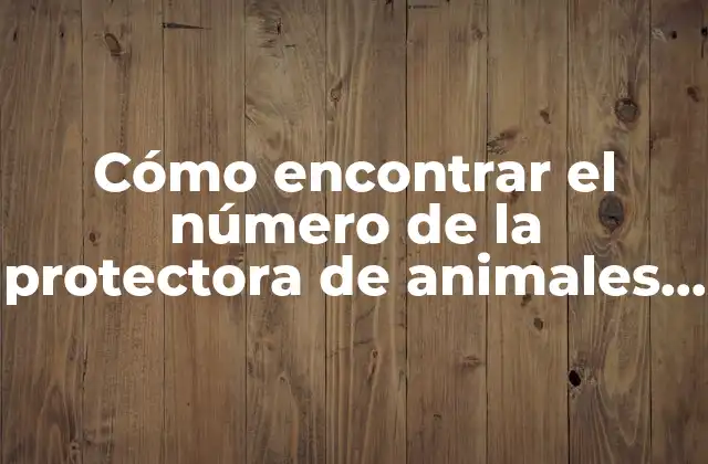 Cómo Encontrar el Número de la Protectora de Animales Cerca de Mí 2 La Importancia de las Protectoras de Animales