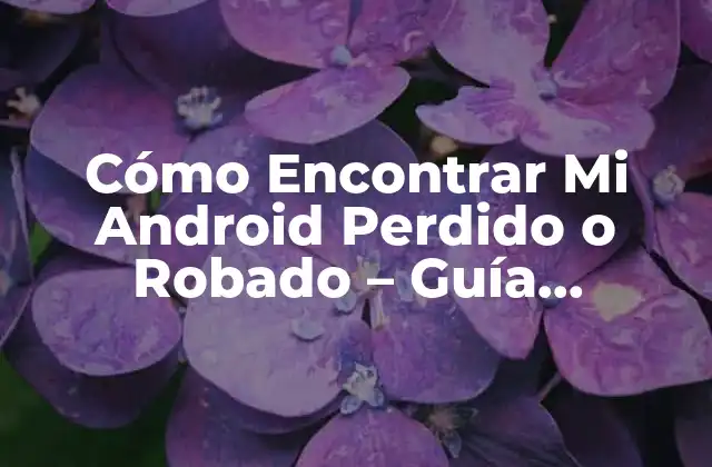 Cómo Encontrar Mi Android Perdido o Robado - Guía Definitiva 2 ¿Cómo Funciona la Ubicación de Mi Android?