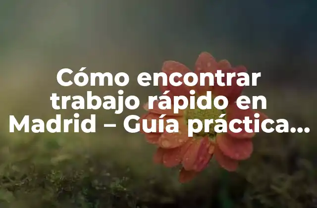 Mejora tu CV y LinkedIn para atraer a los empleadores