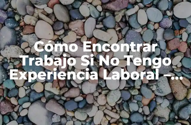 Cómo Encontrar Trabajo Si No Tengo Experiencia Laboral – Guía Práctica