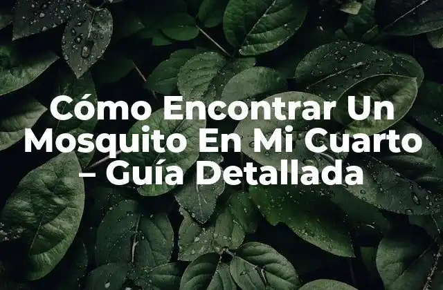 Cómo Encontrar un Mosquito en Mi Cuarto – Guía Detallada