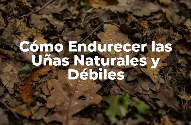 Cómo Endurecer las Uñas Naturales y Débiles