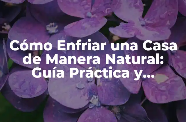 Cómo Enfriar una Casa de Manera Natural: Guía Práctica y Efectiva
