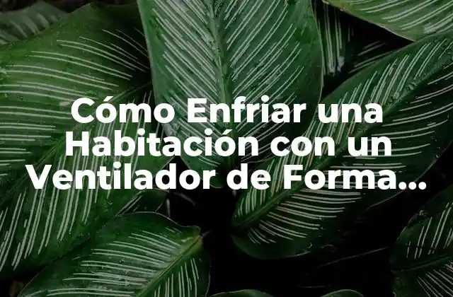 Cómo Enfriar una Habitación con un Ventilador de Forma Efectiva