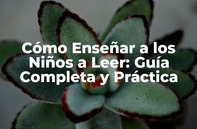 La Importancia de la Lectura en el Desarrollo Infantil