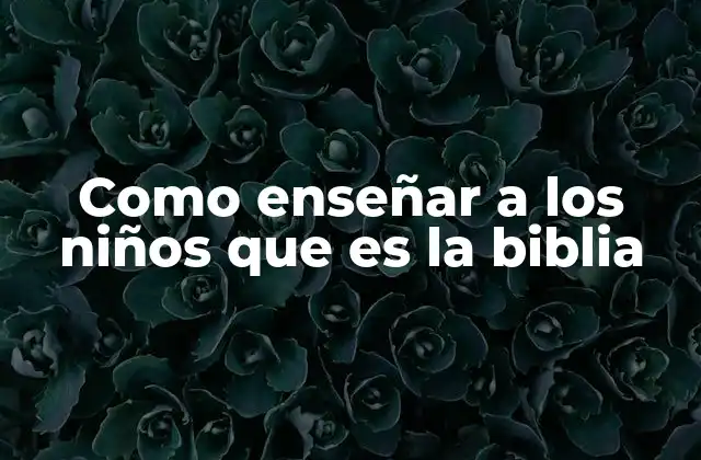 Aprender sobre la Biblia desde la niñez: una base para la espiritualidad