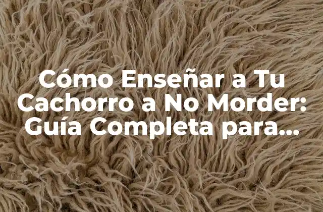 Cómo Enseñar a Tu Cachorro a No Morder: Guía Completa para Dueños de Perros