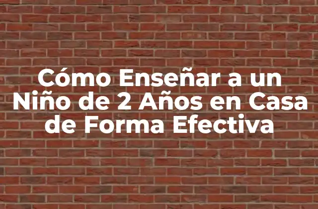Cómo Enseñar a un Niño de 2 Años en Casa de Forma Efectiva