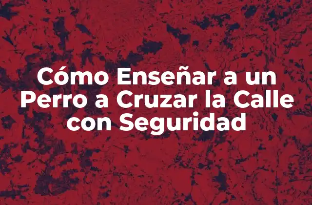 Cómo Enseñar a un Perro a Cruzar la Calle con Seguridad