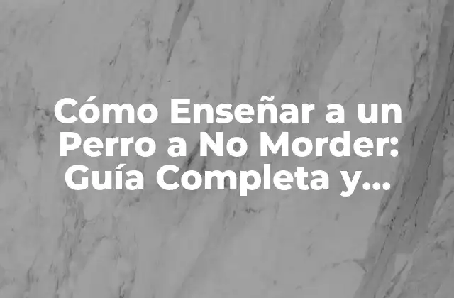 Cómo Enseñar a un Perro a No Morder: Guía Completa y Práctica
