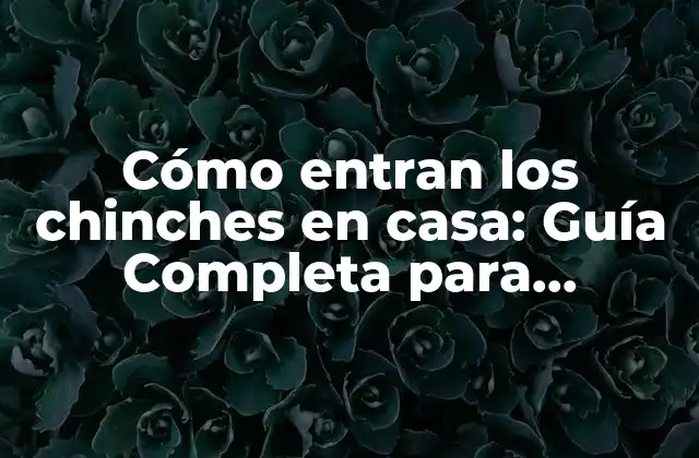 Cómo Entran los Chinches en Casa: Guía Completa para Prevenir Infestaciones