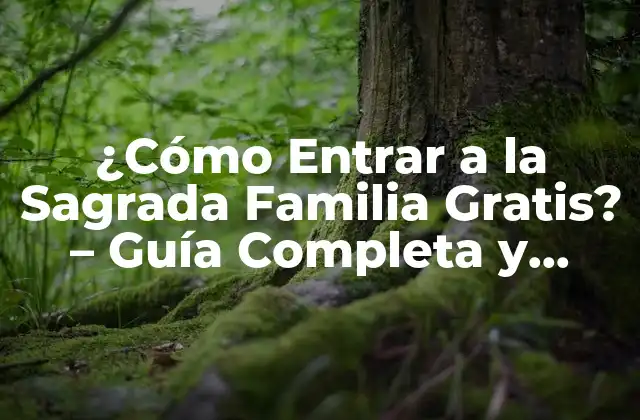 ¿cómo Entrar a la Sagrada Familia Gratis? – Guía Completa y Actualizada