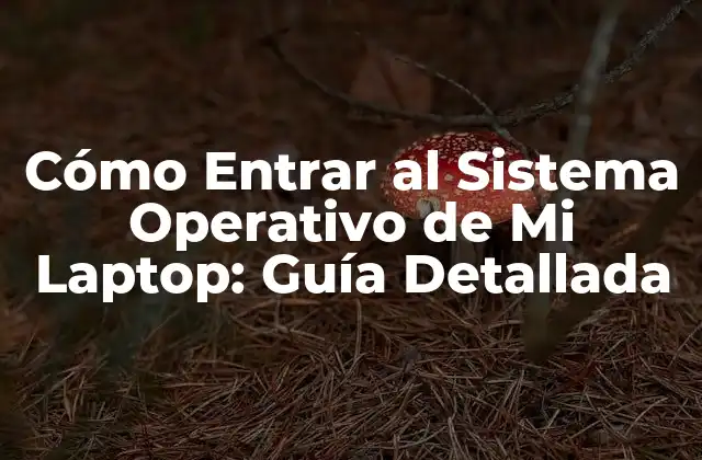 Cómo Entrar Al Sistema Operativo de Mi Laptop: Guía Detallada
