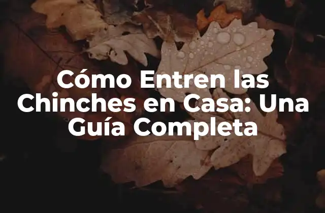 Cómo Entren las Chinches en Casa: una Guía Completa