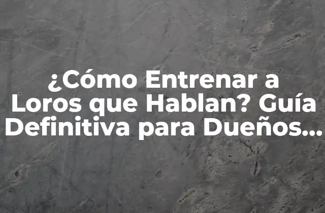 ¿cómo Entrenar a Loros que Hablan? Guía Definitiva para Dueños de Aves
