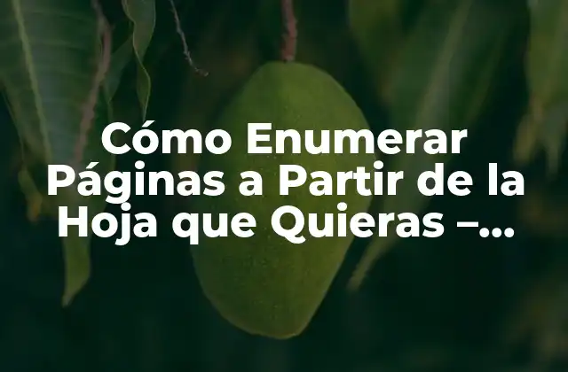 Cómo Enumerar Páginas a Partir de la Hoja que Quieras – Enumeración de Páginas Personalizada