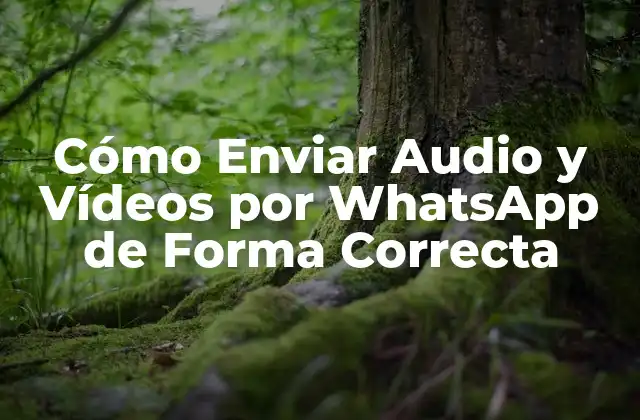 Cómo Enviar Audio y Vídeos por Whatsapp de Forma Correcta