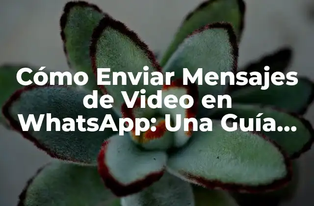 Cómo Enviar Mensajes de Video en Whatsapp: una Guía Completa