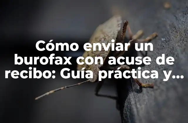 Cómo Enviar un Burofax con Acuse de Recibo: Guía Práctica y Detallada