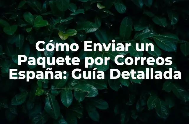 Cómo Enviar un Paquete por Correos España: Guía Detallada