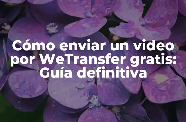 Cómo Enviar un Video por Wetransfer Gratis: Guía Definitiva