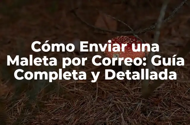 Cómo Enviar una Maleta por Correo: Guía Completa y Detallada