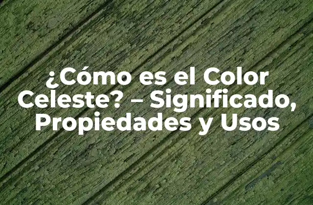 Orígenes y Significado del Color Celeste