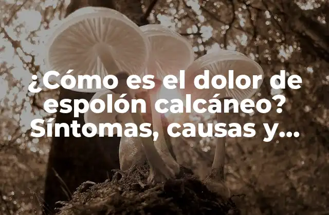 ¿cómo es el Dolor de Espolón Calcáneo? Síntomas, Causas y Tratamiento