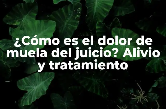 ¿cómo es el Dolor de Muela Del Juicio? Alivio y Tratamiento