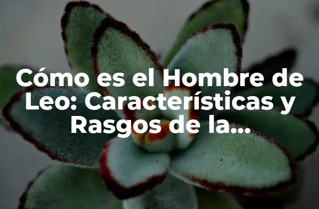 Cómo es el Hombre de Leo: Características y Rasgos de la Personalidad