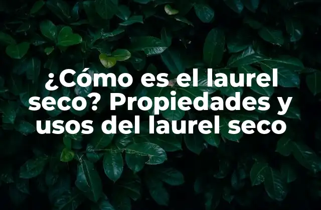 ¿cómo es el Laurel Seco? Propiedades y Usos Del Laurel Seco