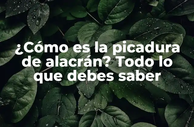 ¿cómo es la Picadura de Alacrán? Todo Lo que Debes Saber