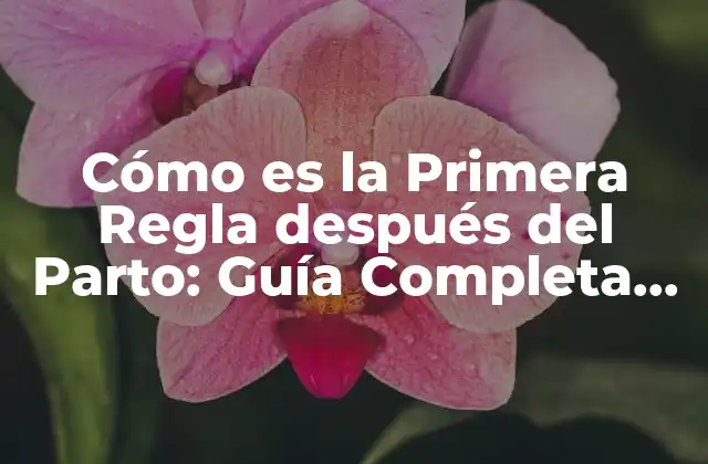 Cómo es la Primera Regla Después Del Parto: Guía Completa para Madres Primerizas