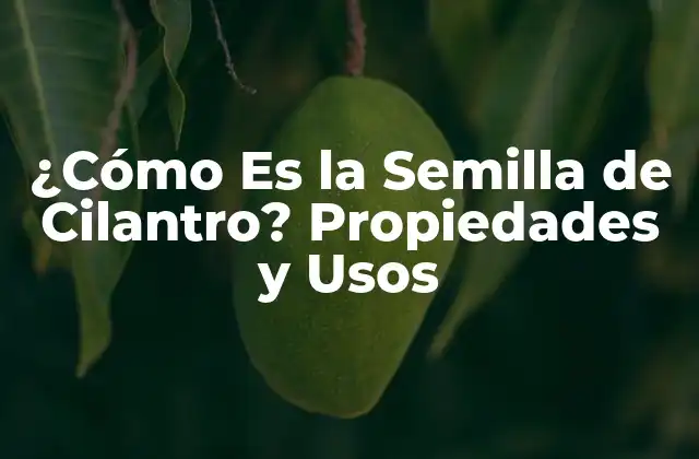¿cómo es la Semilla de Cilantro? Propiedades y Usos